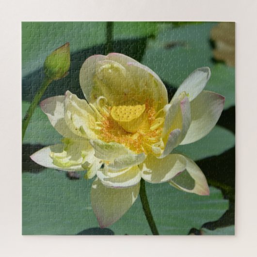 Lotus Blossom Legpuzzel (Verticaal)