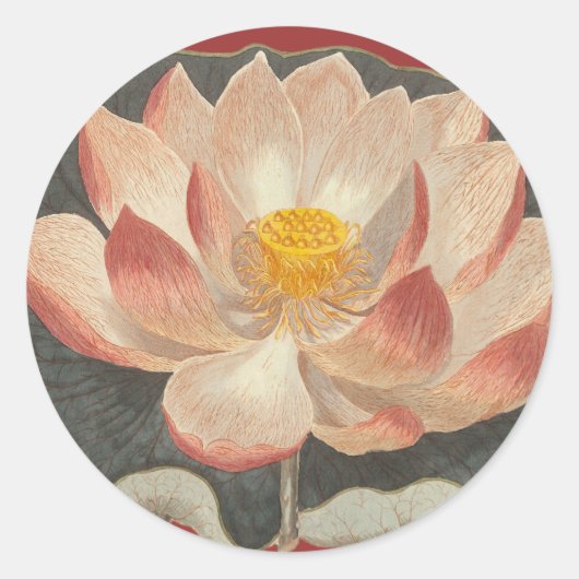 Lotus Blossom, Lilypad, Waterlelie Boeddhistisch s Ronde Sticker (Voorkant)