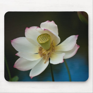 Lotus Blossom Mousepad Muismat