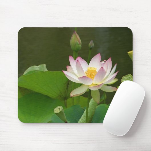 Lotus Blossom Muismat (Met muis)