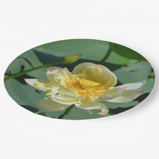 Lotus Blossom Papieren Bordje (Gekanteld)