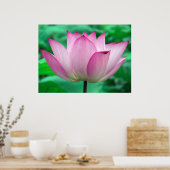 Lotus Blossom Poster (Keuken)