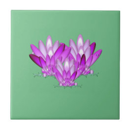 Lotus blossom roze op zee groene achtergrond tegeltje