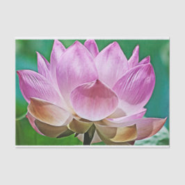 Lotus blossom tissuepapier