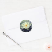 Lotus Blossom Water Lily Flower Ronde Sticker (Envelop)