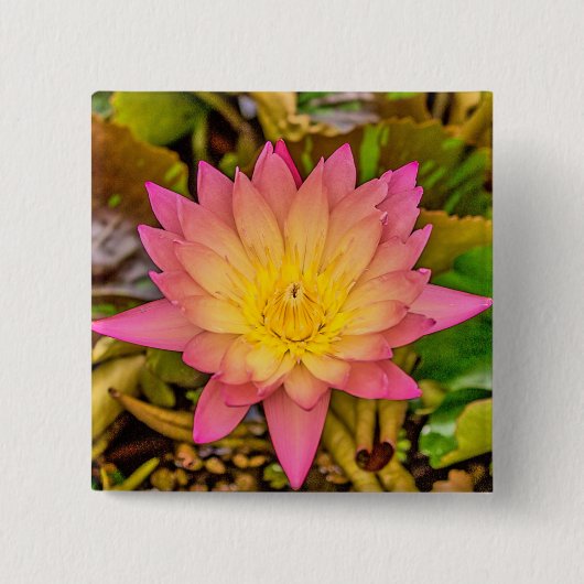 Lotus-Blume Vierkante Button 5,1 Cm (Voorkant)