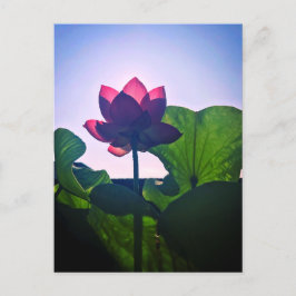 Lotus Briefkaart