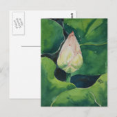 Lotus Briefkaart (Voorkant / Achterkant)