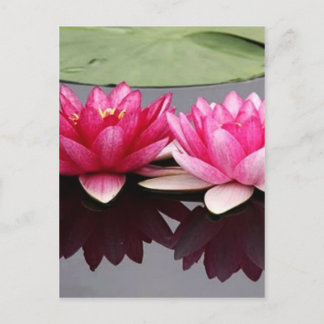 lotus briefkaart