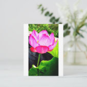 Lotus Briefkaart (Staand voorkant)