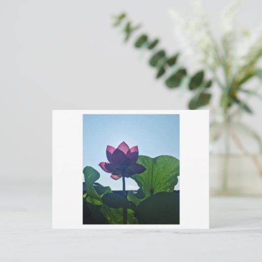 Lotus Briefkaart (Staand voorkant)