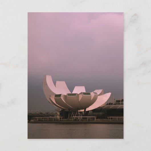 Lotus Briefkaart (Voorkant)