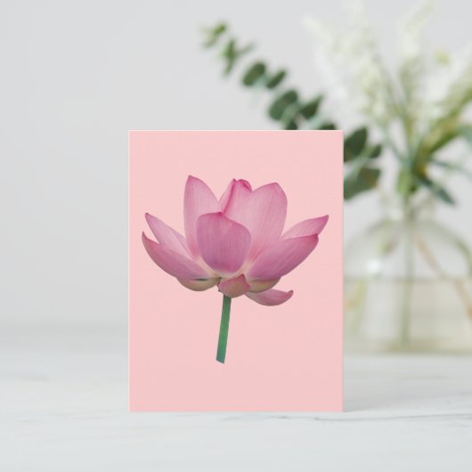 Lotus Briefkaart (Staand voorkant)