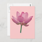 Lotus Briefkaart (Voorkant / Achterkant)
