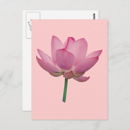 Lotus Briefkaart (Voorkant / Achterkant)