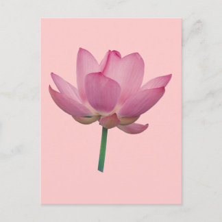 Lotus Briefkaart