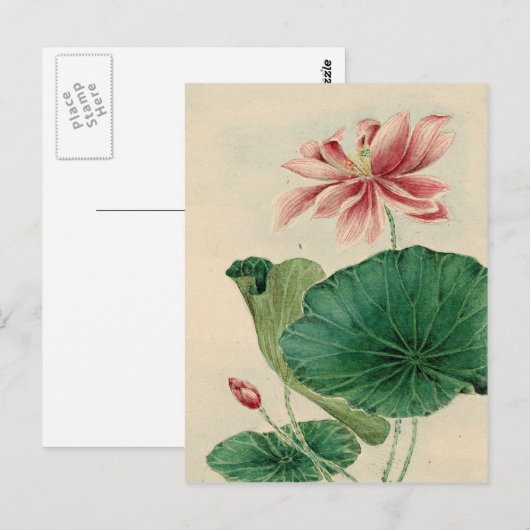 Lotus Briefkaart (Voorkant / Achterkant)