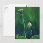 Lotus Briefkaart (Voorkant / Achterkant)