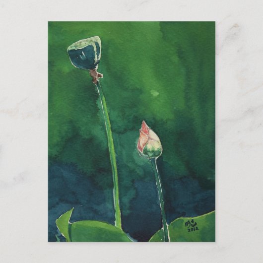 Lotus Briefkaart (Voorkant)