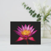 Lotus Briefkaart (Staand voorkant)