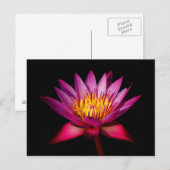 Lotus Briefkaart (Voorkant / Achterkant)
