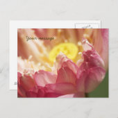 Lotus Briefkaart (Voorkant / Achterkant)