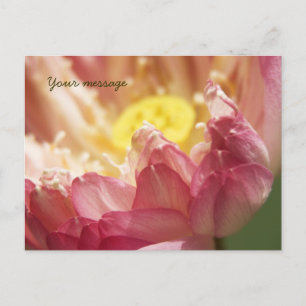 Lotus Briefkaart