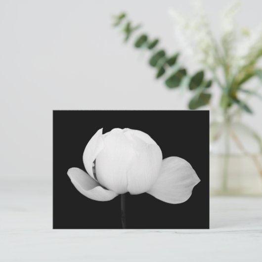 Lotus Bud Briefkaart (Staand voorkant)