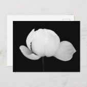 Lotus Bud Briefkaart (Voorkant / Achterkant)