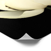 Lotus Bud Poster (Hoek)