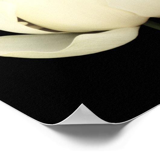 Lotus Bud Poster (Hoek)