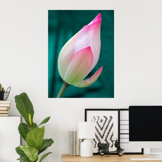 Lotus Bud Tranquility poster (Thuiskantoor)