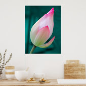 Lotus Bud Tranquility poster (Keuken)