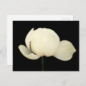 Lotus Bud Uitnodiging Briefkaart (Voorkant / Achterkant)