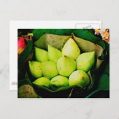 Lotus buds briefkaart (Voorkant / Achterkant)