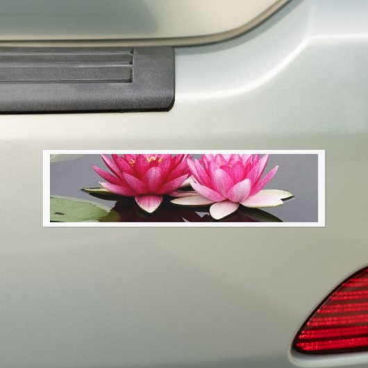 lotus bumpersticker (Op auto)
