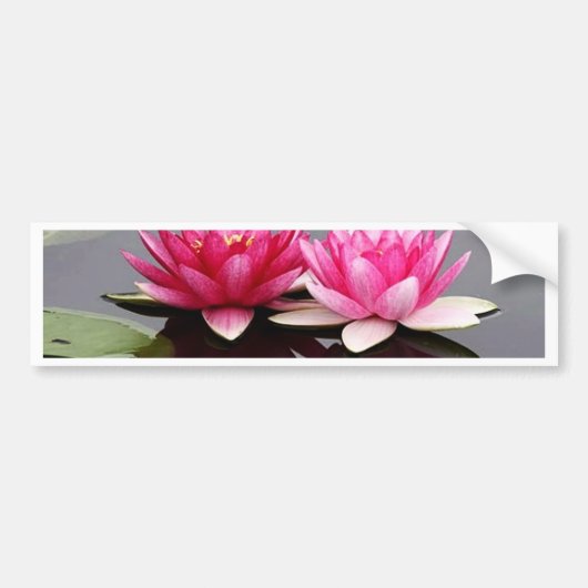 lotus bumpersticker (Voorkant)