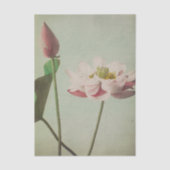 Lotus by Ogawa Kazumasa Tissuepapier (Voorkant)