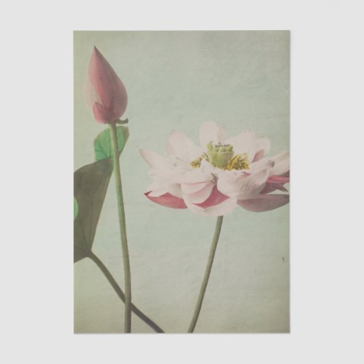 Lotus by Ogawa Kazumasa Tissuepapier (Voorkant)