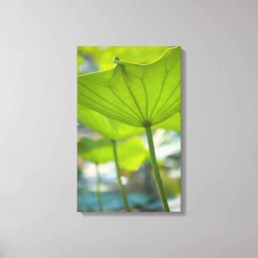Lotus Canvas Afdruk (Voorkant)