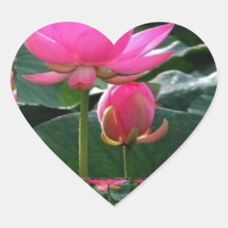 LOTUS : Chakra Roos Roze Groene Tuin Hart Sticker