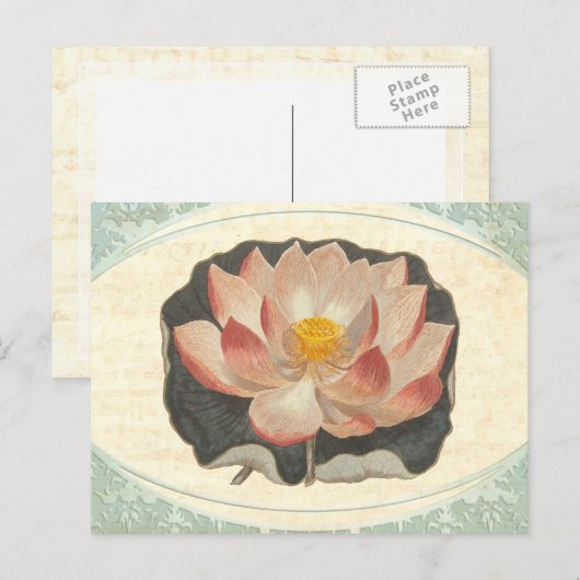 Lotus Damask Elegant Antiek Botanical Briefkaart (Voorkant / Achterkant)