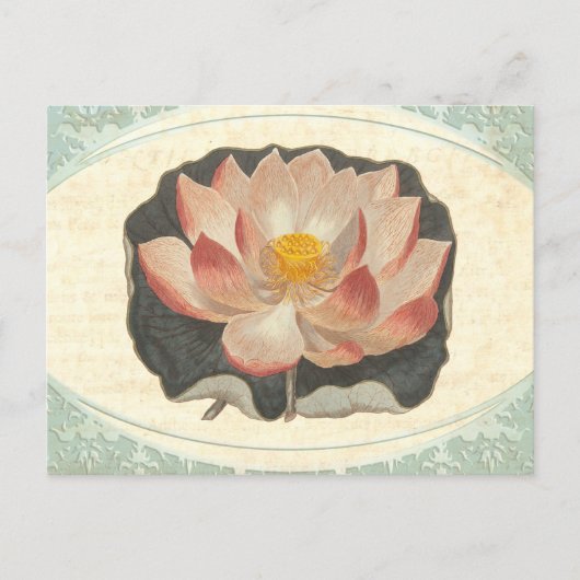 Lotus Damask Elegant Antiek Botanical Briefkaart (Voorkant)