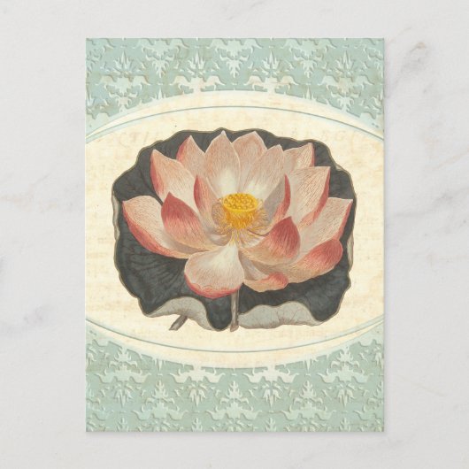 Lotus Damask Elegant Antiek Botanical Briefkaart (Voorkant)