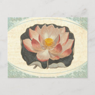  Lotus Damask Elegant Antiek Botanisch Briefkaart