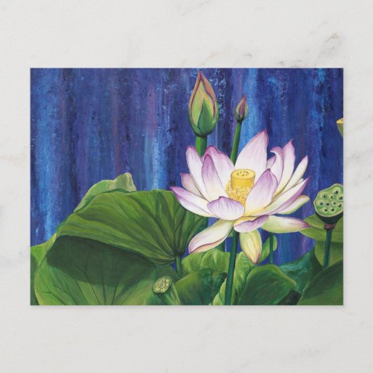 Lotus Dream Briefkaart (Voorkant)