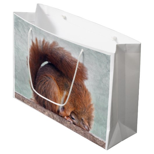 Lotus Eekhoorn Cadeaubag Groot Cadeauzakje (Voorkant Gekanteld)