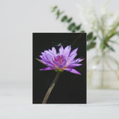 Lotus en Dragonfly Briefkaart (Staand voorkant)