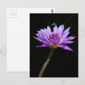 Lotus en Dragonfly Briefkaart (Voorkant / Achterkant)