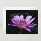 Lotus en Dragonfly Briefkaart (Voorkant / Achterkant)